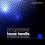 Progressive House Bandits, Vol. 2 (30 Ultimate Late Night Pirates)