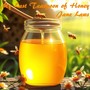 My Last Teaspoon of Honey