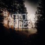 Autumn Forest