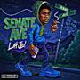 Senate Ave (Explicit)