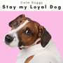 4 Paws: Stay my Loyal Dog