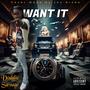 I Want It (Blitz Mix) [Explicit]