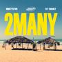 2 Many (feat. Fly Shadez) [Explicit]