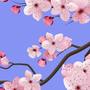 Cherry Blossom