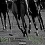 Horse Power Volume I (Explicit)