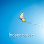 Indeed Breeze (Inner Sense)