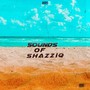 Sounds Of ShazziQ (Instrumental Versions)