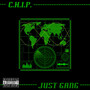 C. H. I. P. (Explicit)