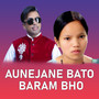 Aunejane Bato Baram Bho