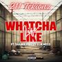 Whatcha Life Like (feat. Shankk Prezzy & Lik Moss) [Explicit]