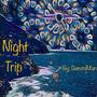 Night Trip (Explicit)