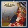 Vocal Recital: Stimmwerck - BRASSART, J. / TOURONT, J. / SARTO, J. de / MARTINI, J. / PUILLOIS, J. / DUFAY, G. (Flos virginum Motetten und Canzonen)