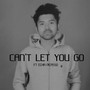 can't let you go