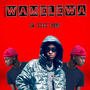 WAMELEWA