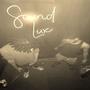 Please (feat. SWIPEYYY) [Explicit]