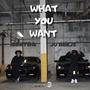 What You Want (feat. MonteQ) [Explicit]