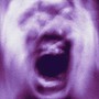 Face Phases (Demo)