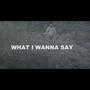 What I Wanna Say (Explicit)