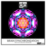 Brain Synchronization