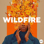 Wildfire