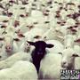 The Black Sheep (Explicit)