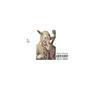 S_____e social (2020) [Explicit]