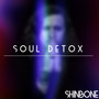 Soul Detox