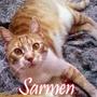 Sarmen (Explicit)