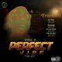 Perfect Vibe (Explicit)