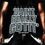 U AINT REALLY GOT IT (Explicit)