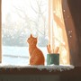 雪解けの音に耳を傾けて / Listening to the Snowmelt Playlist