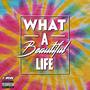 What a Beautiful Life (Explicit)