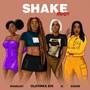 Shake (Remix) [Explicit]