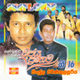 Vijaya Pranama Gee 16 (SUNFLOWER)