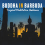 Buddha in Barbuda: Tropical Meditation Ambience