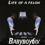 LIFE OF A FELON (Explicit)