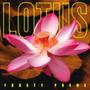 Lotus (Explicit)