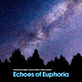 Echoes of Euphoria