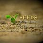 Seeds (Isaiah 61:8-11)