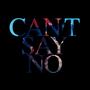 Can't Say No (single)