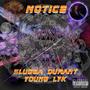 Notice (Explicit)