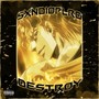 Destroy (Explicit)