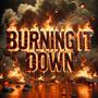 Burning It Down (feat. Mac Ro) [Explicit]