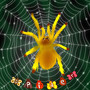 Spider (Explicit)