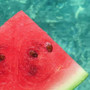 A Watermelon Song