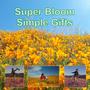 Super Bloom Simple Gifts (Original Film Soundtrack)