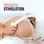 Prenatal Stimulation: Shape Your Unborn Baby, Womb Communication, Early Child Development, Relaxing Pregnancy