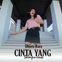 Cinta Yang Sempurna