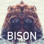 Bison