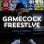 Gamecock Freestyle (Explicit)